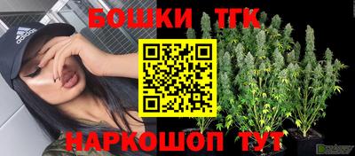 mdpv Бийск