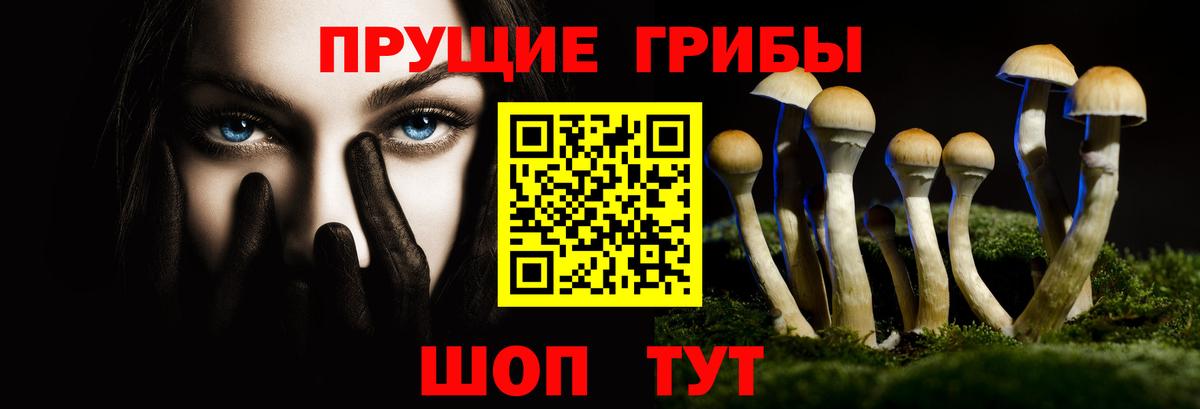 что такое   Галлюциногенные грибы мицелий  Вход с VPN  Ипатово 